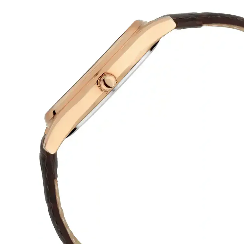 Titan Lagan Leather Strap Men's Watch-1713WL01